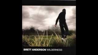 Brett Anderson   Wilderness