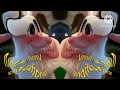 Booba 2 Trailer Effects Round 1 With Megan Woodmansee