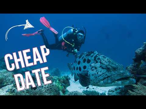 Why You Should Fall in Love with a Scuba Diver