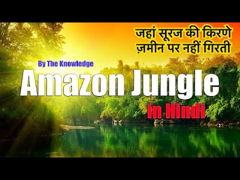 download lagu mp3 mp4 About Jungle In Hindi, download lagu About Jungle In Hindi gratis, unduh video klip About Jungle In Hindi