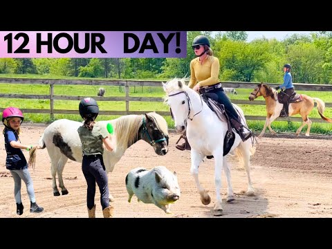 , title : 'CRAZY DAY ON THE HORSE FARM! *Barn Chores, Lessons, Riding*'