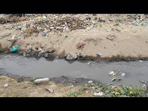 #doshareifucare Why humans are most deadly virus on earth recorded at Somnath Beach