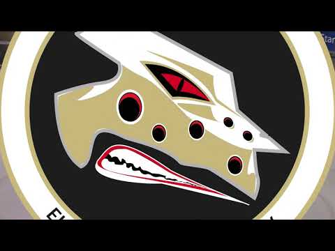 TecArt Black Dragons - ESC Wohnbau Moskitos Essen 09.12.2018