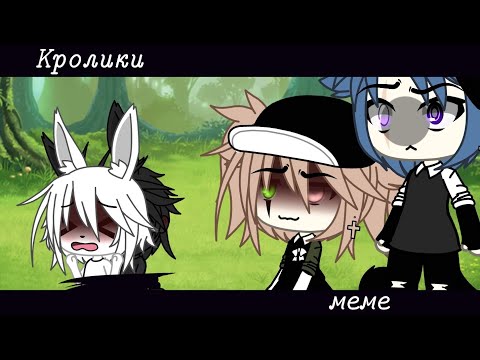 /Меме/ /кролики/Part 1 #1k