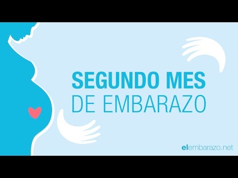 Second Month of Pregnancy | 2 Months Pregnant | Pregnancy Month by Month