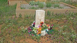 The Grave - Don McLean: with Lyrics(가사번역)