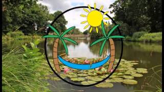 07   Micah P  Hinson   Stand in my way