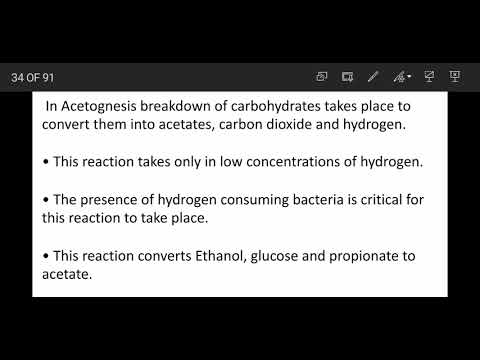 aerobic and anaerobic degradation processes