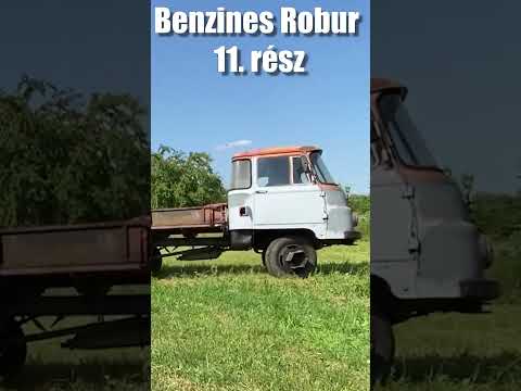 Benzines robur 11