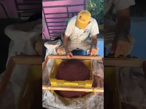 Laborando un Rato #venezuela #Trujillo #Bolívar