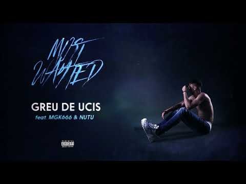 YNY Sebi ⓧ @MGK666 ⓧ @nutu8973 - Greu de Ucis 🎧 Audio