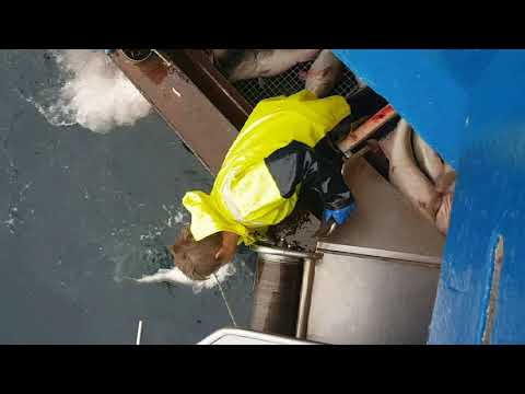 Eivind á Flemish Cap 2019