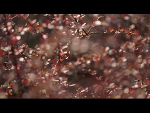 Drugo Ime Ljubavi - Happy end