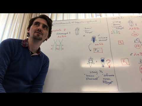 Kopplungsbruch Genaustausch