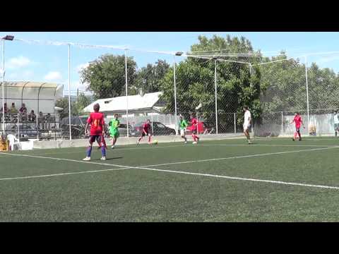 Fan Club Steaua Marasesti- Foresta Vidra 2013 repr 1