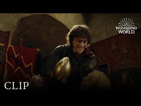 Thumbnail of the video: The Golden Egg