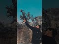 Takrar Chidal Ba Ta Takrar Chali Bharpur Jawani Me Talwar Chali Ravi Kishan Short Viral Video