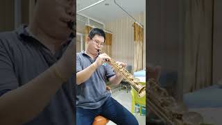 The Way We Were (Kenny G) Selmer mark VI soprano (1977)