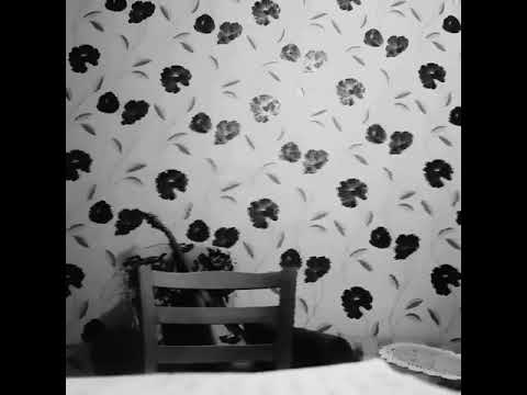 Flaviu - ABECEDAR #ONELETTERCHALLENGE