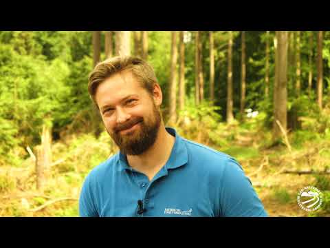 Unterwegs im Geo-Naturpark | Klimawandel im Wald