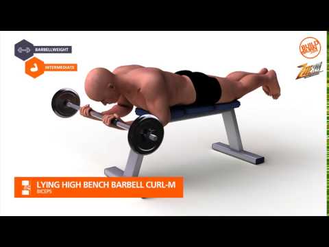 Biceps Lying High Bench Barbell Curl M