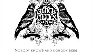 The Black Crowes - The Long Black Veil (Live, 2010) -  With lyrics
