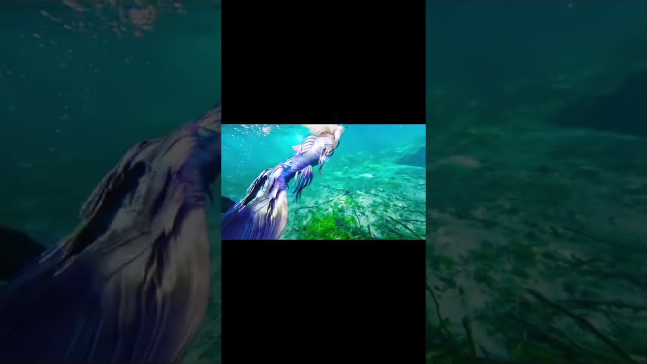 Promotional video thumbnail 1 for Fintastic Encounters with Mermaid Eden Sirene