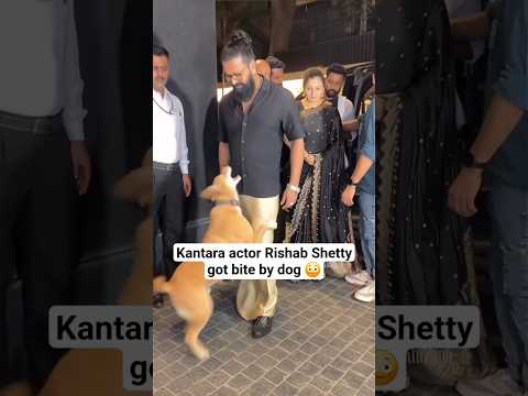 Rishab Shetty Kantara:Chapter 1 bite by dog while doing film promotion #kantara #rishabshetty #viral
