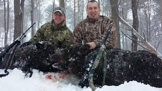 preview picture of video 'FINGER LAKES EXOTIC FARM WILD HOG .300 WIN MAG!'