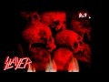 Slayer-Postmortem Lyrics