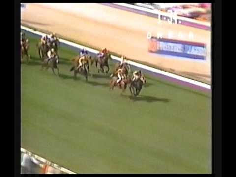 1985 MVRC Moonee Valley Stakes _ Wellington Hammer