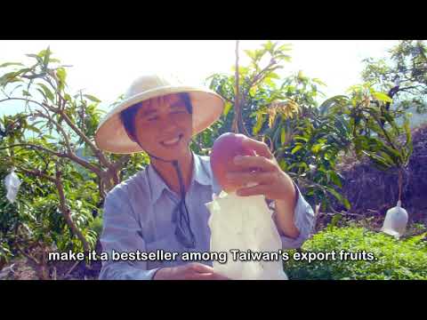 The agricultural in Taiwan - seasonal fruits