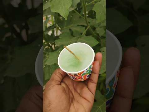 RS 1 rupees jabli balls icecream #new #trending #newvideo #icecream #ice