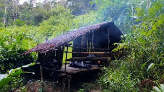 Download lagu Suku Dayak || Nginap di Hutan Belantara, Surganya Sumber Makanan Alami mp3 Download lagu Suku Dayak || Nginap di Hutan Belantara, Surganya Sumber Makanan Alami mp3