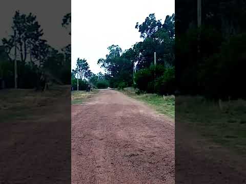 un paraíso en el departamento De Canelones Uruguay