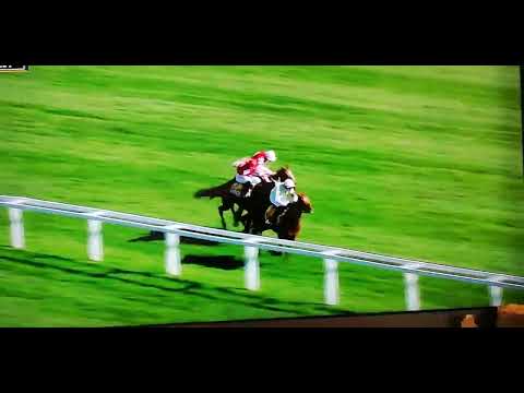 1330 Cheltenham 18th Mar 2022 JCB Triumph Hurdle Grade 1 Dj Billy Bop!