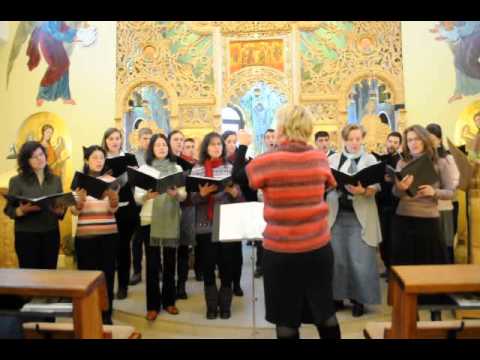 Corul Angeli la Faget 2