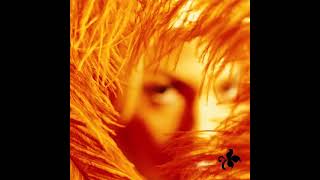Days Of The Week-Stone Temple Pilots