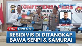 Aksi Nekat Residivis di Bangka Selatan, Ditangkap karena Bawa Senpi Rakitan hingga Sejumlah Samurai