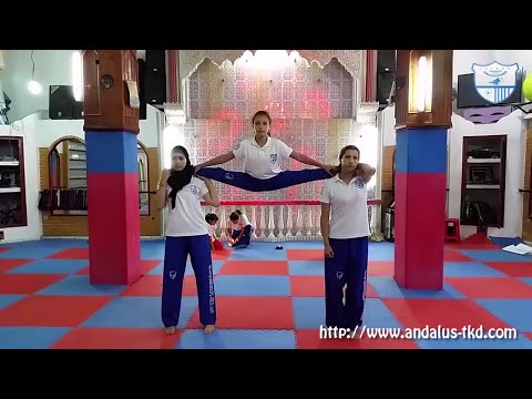 Martial Art - Taekwondo | Amazing Girls Kicks And Flexibility