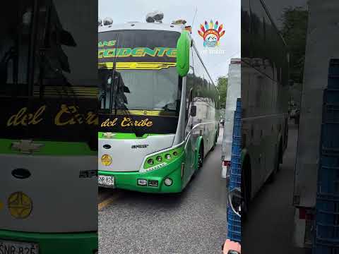 🚌✨ Rutas que cuentan historias ✨🚌