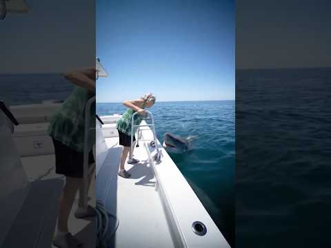 Grandma Falls on Shark!