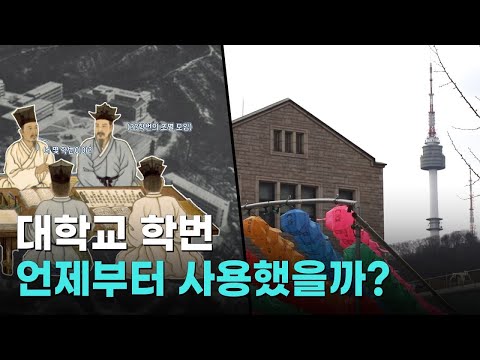 대학교 학번, 언제부터 시작됐을까? | 이왜진 IMAGINE 2화