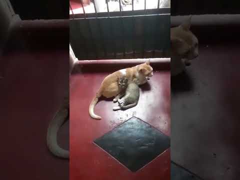 suvan लिए एक और बात 🌙🌙⭐🌞☀️☁️