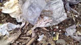 preview picture of video 'Illegal dumping in Palmer, Alaska'
