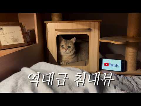 제 침대뷰 구경하실래요?