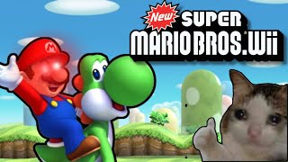 New Super Mario Bros. Wii Stream! | YES IM DOING THIS SORRY LOL | VC Opened!