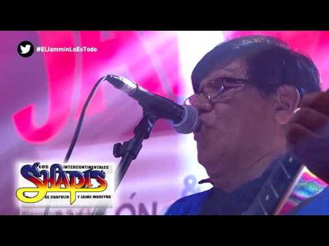 LOS INTERCONTINENTALES SHAPIS DEL PERU 2017- CONCIERTO EN VIVO EVA AYLLON- LOS SHAPIS.