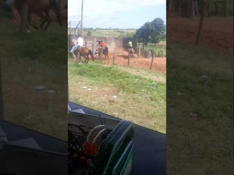 vaquejada 2026 augustinopolis Tocantins #vaquejada