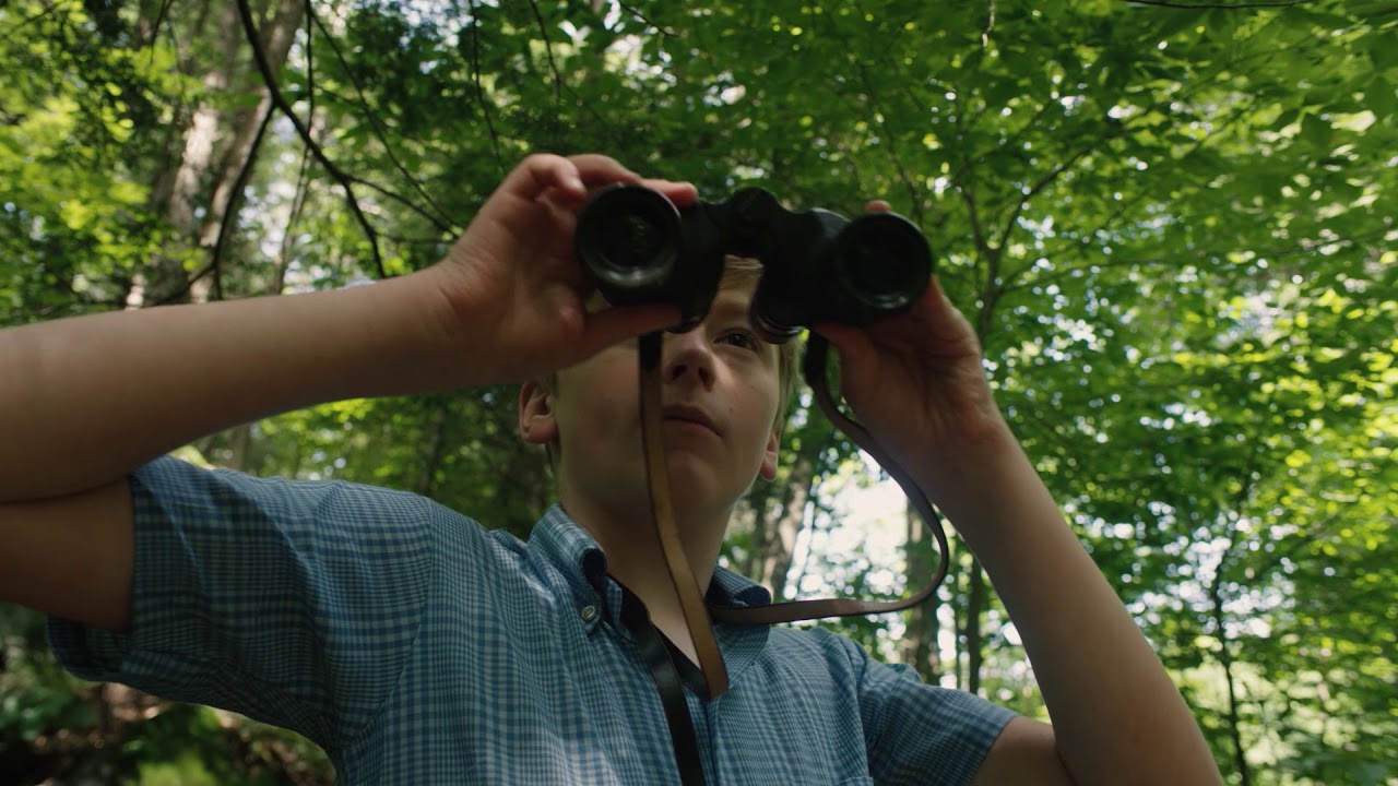 A Home for Curiosities Trailer Thumbnail